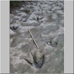 100_1009 (2009-28-07).JPG